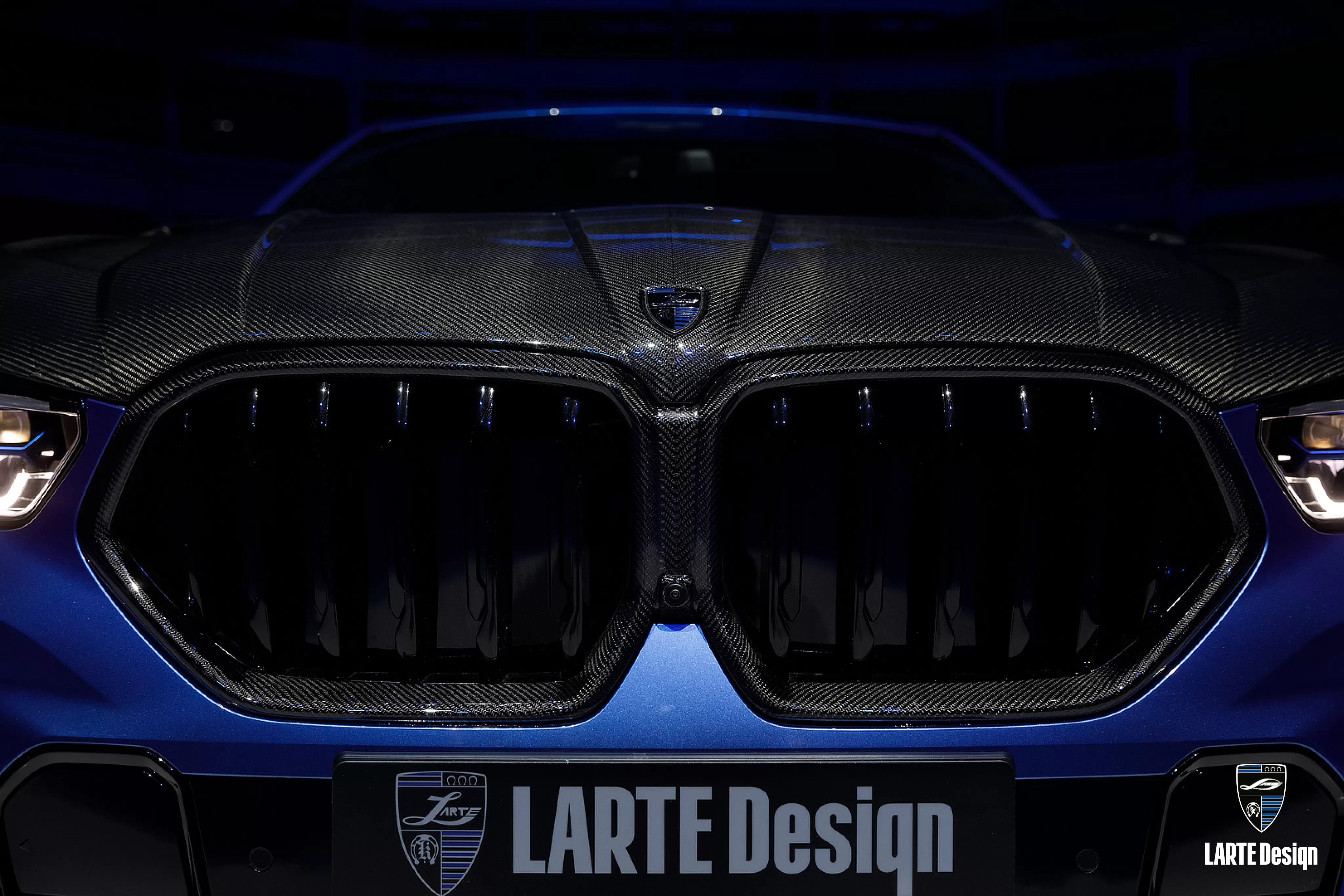 Preis für Nierenkühlergrill für BMW X6 III G06 LCI M Sport xDrive 40i