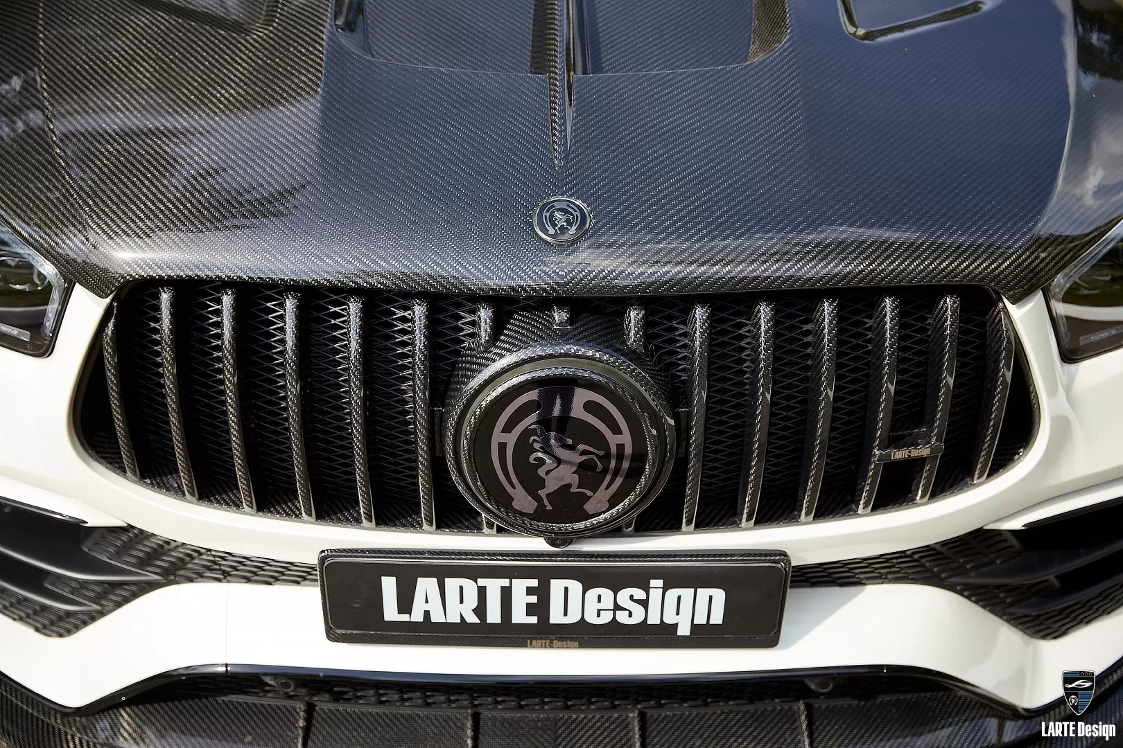 Carbon fiber grille trim and hood for Mercedes Benz AMG GLE Coupe 63 C167 by LARTE Design