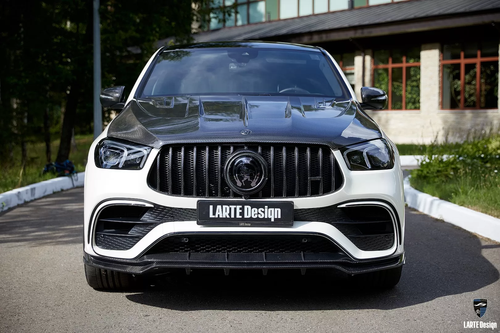 Carbon grille trim with LARTE logo for Mercedes Benz AMG GLE Coupe 63 C167 by LARTE Design