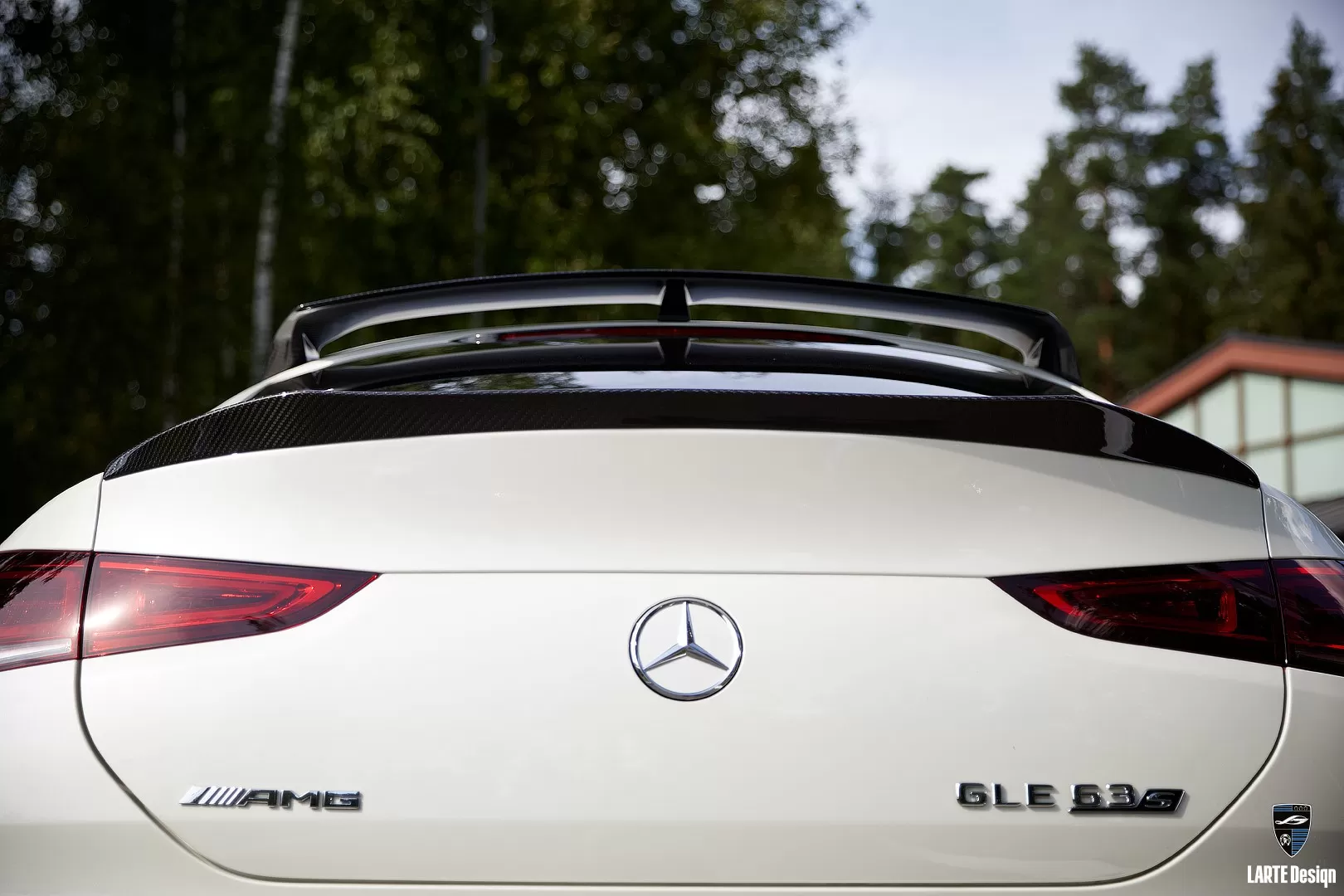 Carbon roof spoilers for Mercedes Benz AMG GLE Coupe 63 С167 by LARTE Design