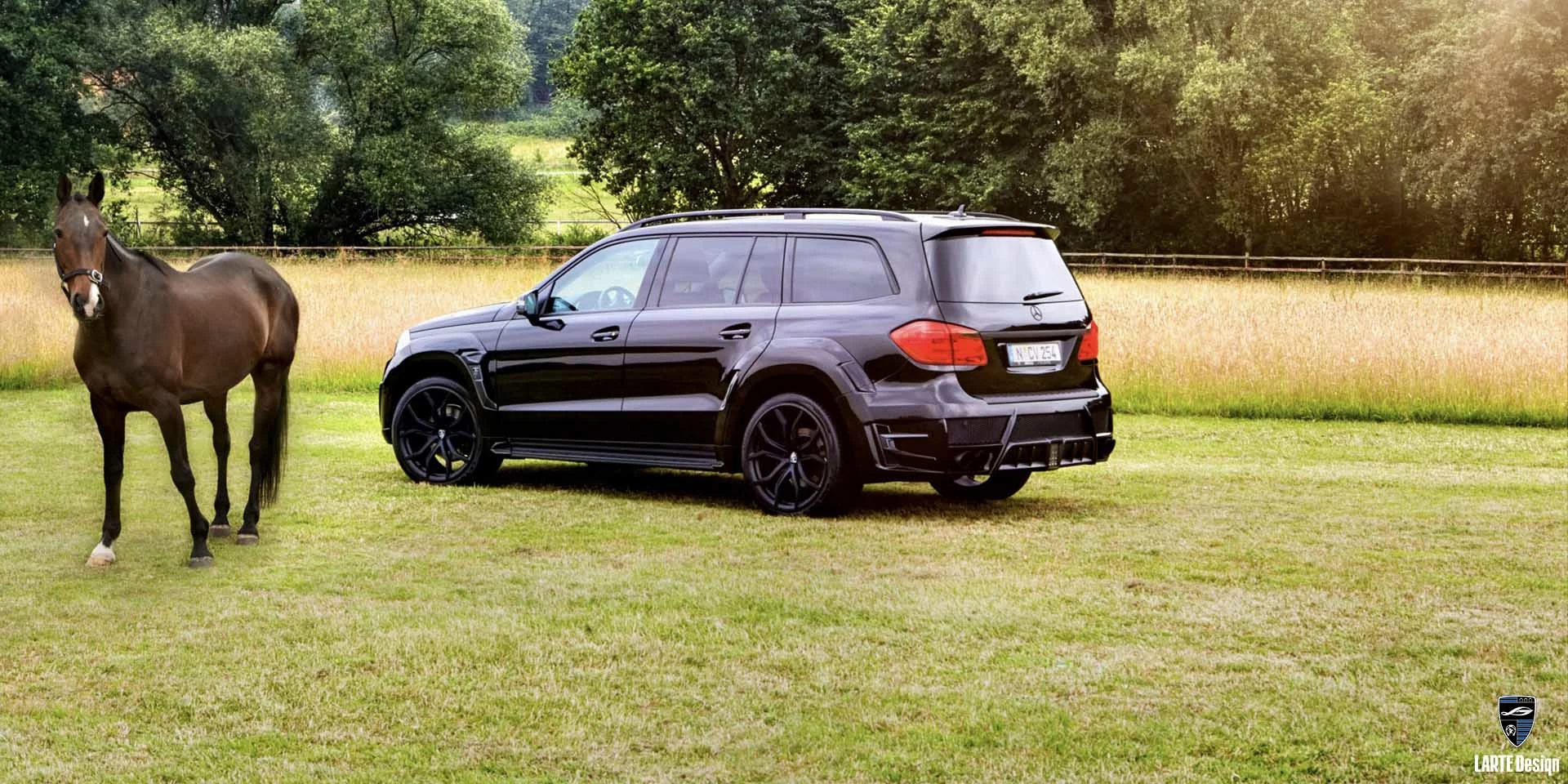 Tuning kits in carbon fiber for Mercedes Benz GLS 63 AMG from LARTE Design