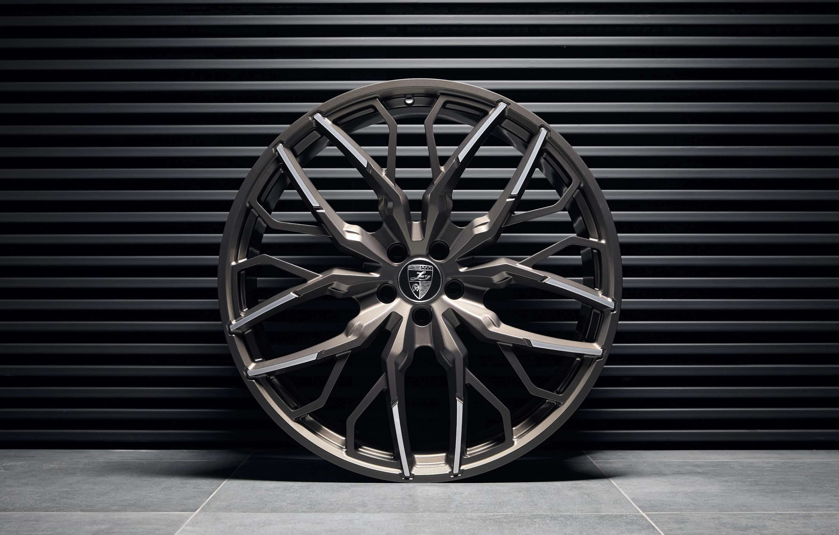 Forged alloy wheels for Mercedes-AMG GT 43 4MATIC X290 /2022/2021/2023/2024/