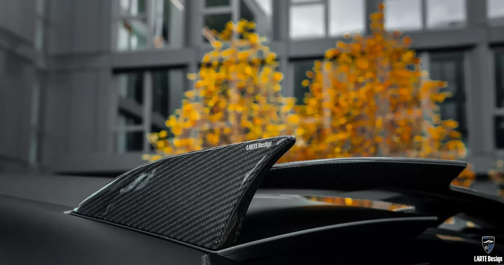 Carbon roof spoiler for BMW X6M F96 LCI by LARTE Design